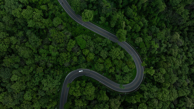 Electric vehicle or EV electrical energy for environment on forest road, Sustainable energy transportation, Electric car and EV electric energy for environment.