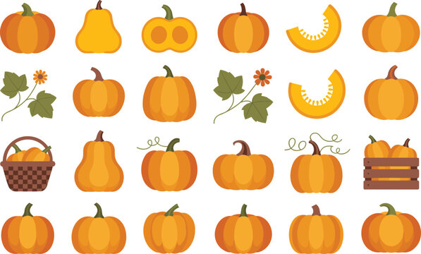 Autumn pumpkin collection with various flat orange squash shapes and harvest basket icons