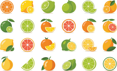 Obraz premium Fresh citrus fruit set including oranges lemons limes and grapefruits flat vector design