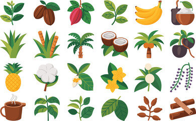 Set of tropical fruits and plants isolated on white background vector illustration © MstRina