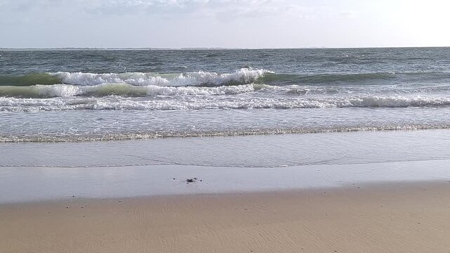 Ocean waves washing onto a flat sandy beach on the Eastern Scheldt shore at Vlissingen, Zeeland, Netherlands, filmed in 4K at 30fps. Successive waves advance and retreat across wet sand.