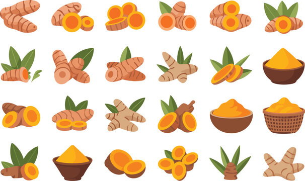 Turmeric root and powder set flat vector illustration isolated on white background