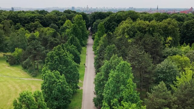 Green Urban Park Meadow People Relaxing Cityscape Skyline Active Lifestyle Commercial. A high-angle drone viewpoint captures an expansive public lawn filled with city residents enjoying