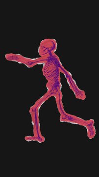 A drag and drop skeleton anatomy themed colourful ephemera that animates into place from torn paper.
