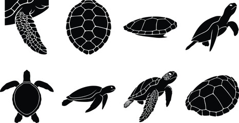 Sea turtle anatomy and marine reptile black silhouette icon set featuring swimming turtles textured flippers and carapace shell patterns © MdRasel