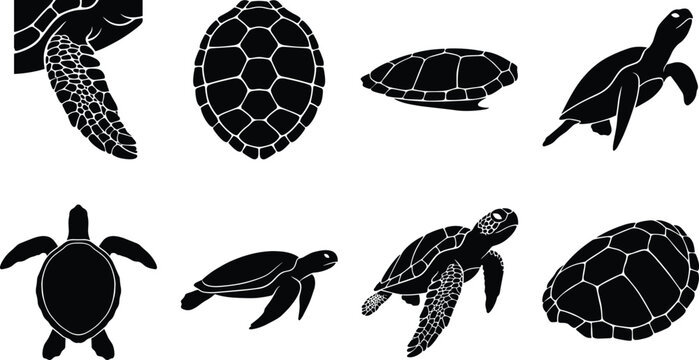 Sea turtle anatomy and marine reptile black silhouette icon set featuring swimming turtles textured flippers and carapace shell patterns