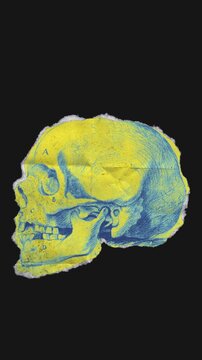 A drag and drop skeleton anatomy themed colourful ephemera that animates into place from torn paper.
