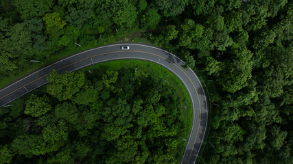 Obraz premium Electric vehicle or EV electrical energy for environment on forest road, Sustainable energy transportation, Electric car and EV electric energy for environment.