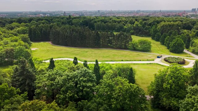 Green Urban Park Treetops Panning Drone View Modern City Skyline Horizon Lifestyle Commercial. A smooth sideways panning aerial perspective flies directly over a dense canopy of vibrant green trees