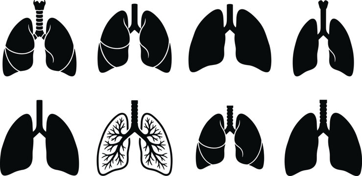Human lungs anatomy silhouette collection, respiratory organ healthcare symbols and medical vector illustration