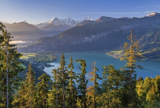 Eiger triumvirate with the Eiger north face, M&ouml;nch and Jungfrau above Lake Thun in the early morning sun, Beatenberg, Bernese Alps, Bernese Oberland, Canton Bern, Switzerland