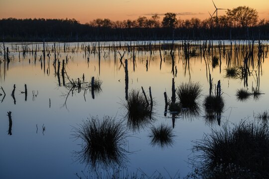 Picturesque moor landscape at sunset with water and soft colors, rewetting of a raised moor Climate protection and species protection, Venner Moor, Osnabr&uuml;cker Land, Lower Saxony, Germany
