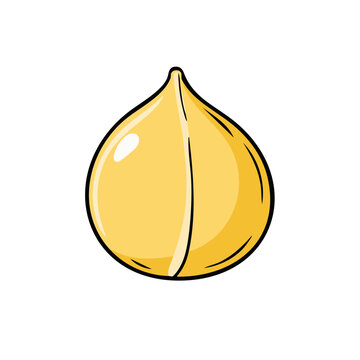 Bright yellow chickpea illustration a single leguminous seed with a rounded shape and a slight tip