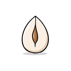 Fototapeta premium Hand-drawn illustration of a halved hazelnut showing internal details against a white background