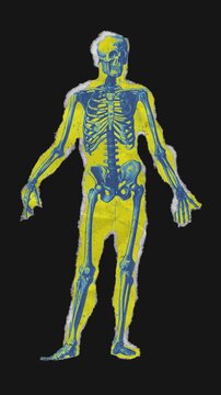 A drag and drop skeleton anatomy themed colourful ephemera that animates into place from torn paper.
