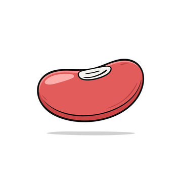 Cartoon illustration of a single red kidney bean with a white hilum and subtle shadow