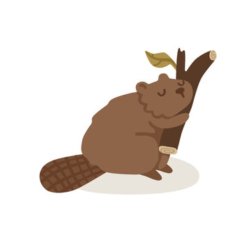 Cute beaver hugging a tree branch with eyes closed in a calm and content mood. Adorable woodland animal character for nursery and nature themed designs. Isolated flat vector illustration.