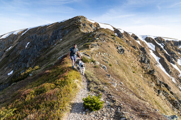 Fototapeta premium man with white dog trekking in the Low Tatras