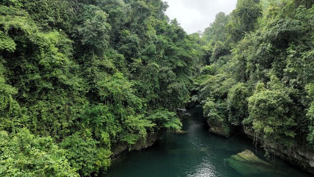 Aerial view of a river flowing through a lush, dense tropical forest with vibrant green canopy and rocky riverbanks in Pangandaran Regency, West Java, Indonesia.