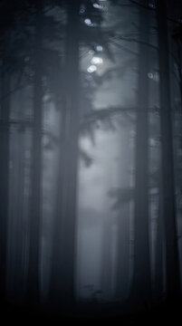 Mysterious Dark Forest Background with Misty Trees and Glowing Bokeh Lights