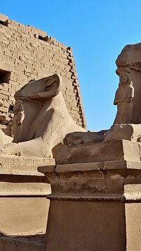 Karnak Temple in Luxor, Egypt. Ram-headed sphinx alley at Karnak Temple. Ancient stone statues of Amun god along sacred processional avenue.
