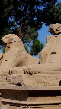 Karnak Temple in Luxor, Egypt. Ram-headed sphinx alley at Karnak Temple. Ancient stone statues of Amun god along sacred processional avenue.