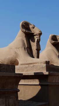 Karnak Temple in Luxor, Egypt. Ram-headed sphinx alley at Karnak Temple. Ancient stone statues of Amun god along sacred processional avenue.