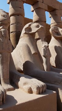 Karnak Temple in Luxor, Egypt. Ram-headed sphinx alley at Karnak Temple. Ancient stone statues of Amun god along sacred processional avenue.