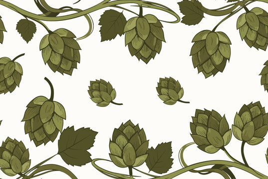 Seamless pattern of green hops cones and leaves on a white background ideal for beer packaging and brewery themes.