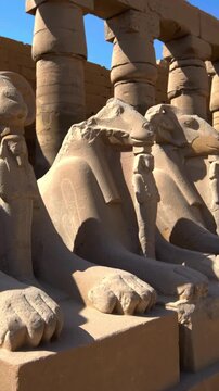 Karnak Temple in Luxor, Egypt. Ram-headed sphinx alley at Karnak Temple. Ancient stone statues of Amun god along sacred processional avenue.