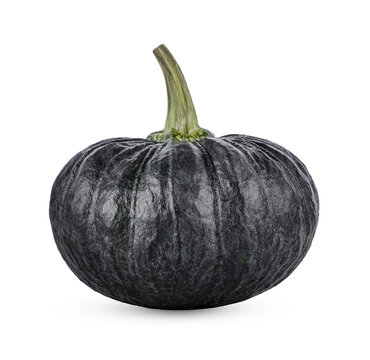 Pumpkin isolated on transparent background (.PNG)