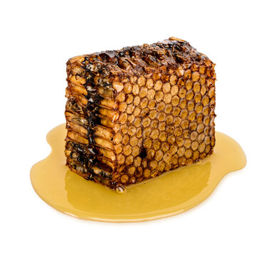 Honeycomb isolated on transparent background (.PNG)