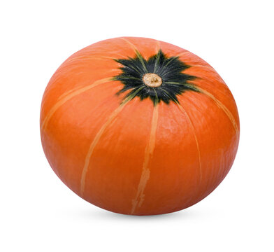 Japanese pumpkin isolated on transparent background (.PNG)