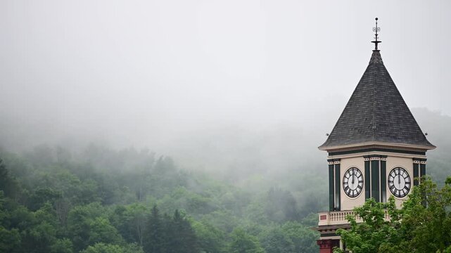 Rain weather wind tree crown, raining movement, rooftops, fog, moving clouds