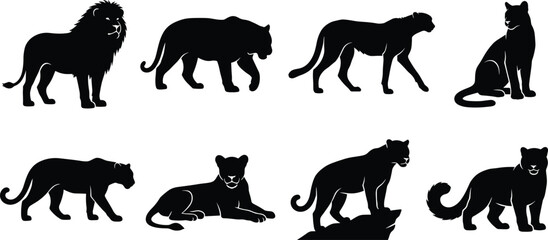 Big Cat Silhouette Collection Featuring Lion Panther and Cougar Wildlife Poses © MstShahida