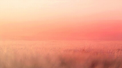 Fototapeta premium Soft focus sunrise over a misty landscape with warm pastel colors.
