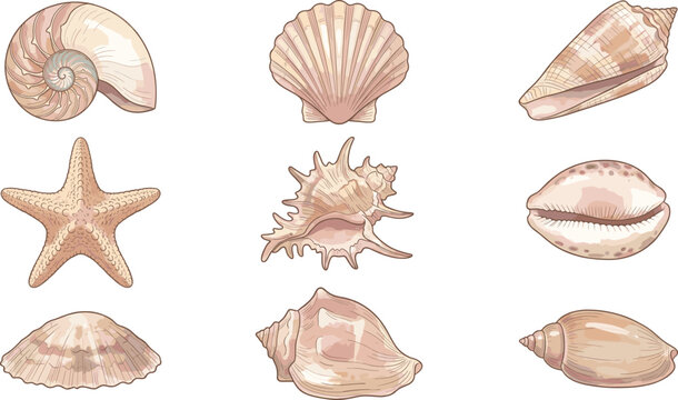  Vintage watercolor seashell vector set with soft pastel pink and beige beach marine sketch elements