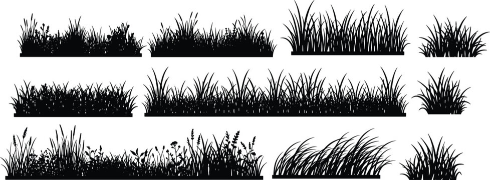 Grass Border Silhouette Collection with Wild Meadow Plants and Vegetation