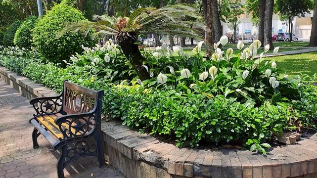 Sunny view of an empty September 23 park in Ho Chi Minh City with a bench, peace lilies, and landscaped flowerbeds. Tranquil urban garden with tropical foliage and white flowers in Saigon, Vietnam