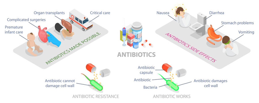 3D Isometric Flat  Illustration of Antibiotics, Labeled Educational Scheme