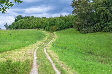 Fototapeta premium Winding dirt track through vibrant green field bordered by trees under cloudy sky