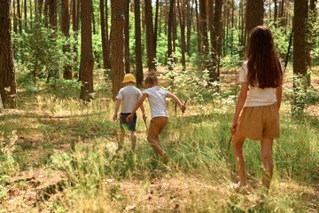 Obraz premium Three children are walking through a forest, exploring their surroundings on a sunny summer day. They are surrounded by trees and green plants