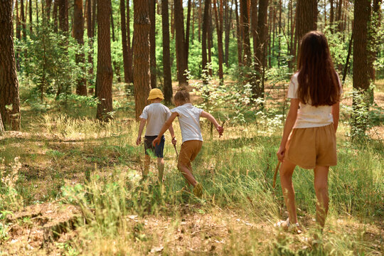 Three children are walking through a forest, exploring their surroundings on a sunny summer day. They are surrounded by trees and green plants