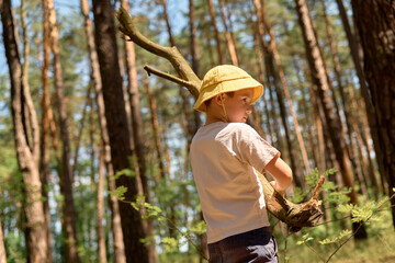 A child stands in a forest, holding a branch. The trees are tall and green around them. Sunlight shines through the leaves as the child looks around © sementsova321