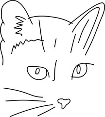 cat with heart © Fausta Studios