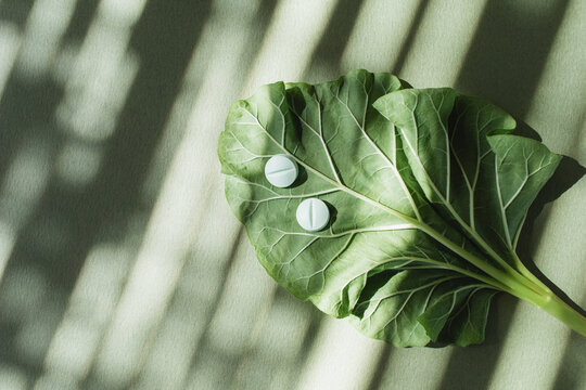 Vitamin supplement medicine pills on green leaf under sunlight shadows top view. Natural wellness, organic nutrition and beauty treatment.