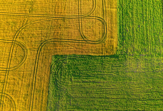 Aerial view of colorful agricultural fields in summer, patchwork landscape of different crop parcels from drone perspective