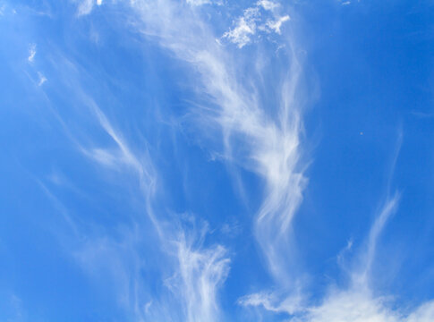 Wispy cirrus clouds in the bright blue sky