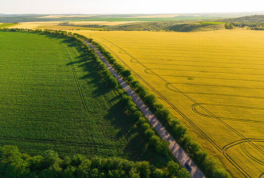 Summer landscape with rural way from above, drone perspective of green countryside path and agricultural field scenery