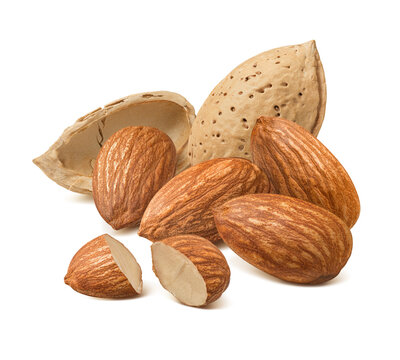 Almond in nutshell isolated on white background. Real photography.